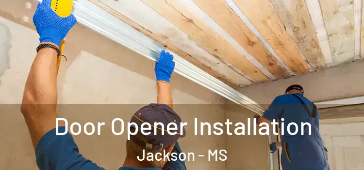  Door Opener Installation Jackson - MS