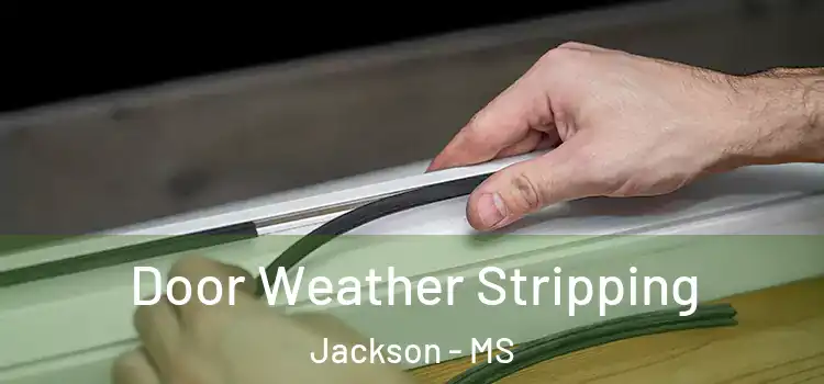  Door Weather Stripping Jackson - MS