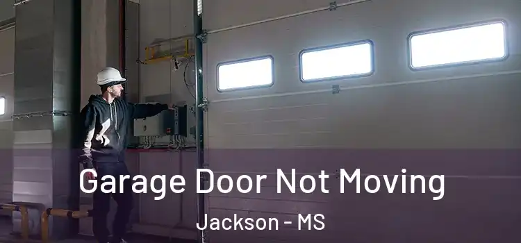  Garage Door Not Moving Jackson - MS