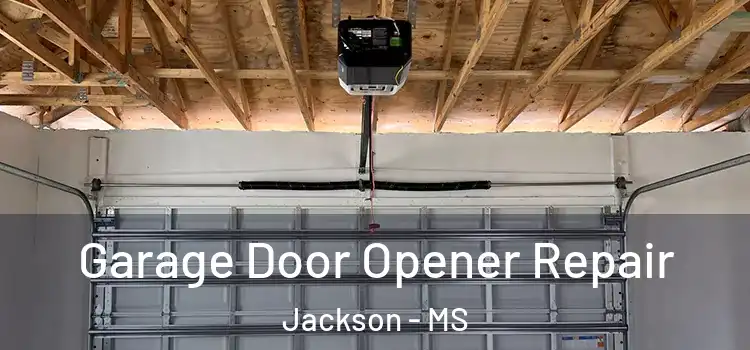  Garage Door Opener Repair Jackson - MS