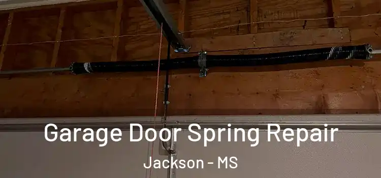  Garage Door Spring Repair Jackson - MS