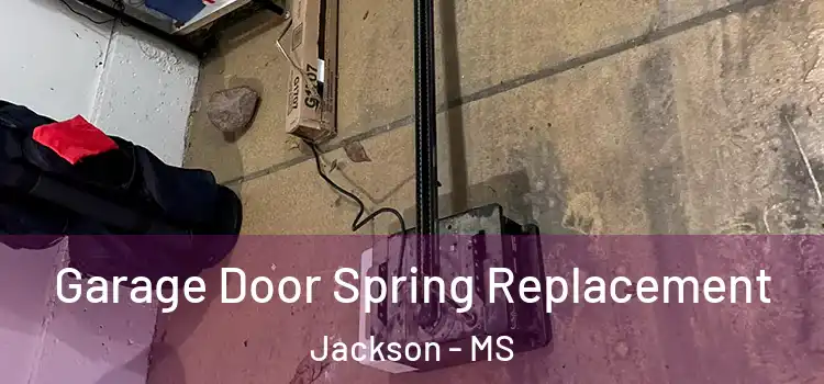  Garage Door Spring Replacement Jackson - MS