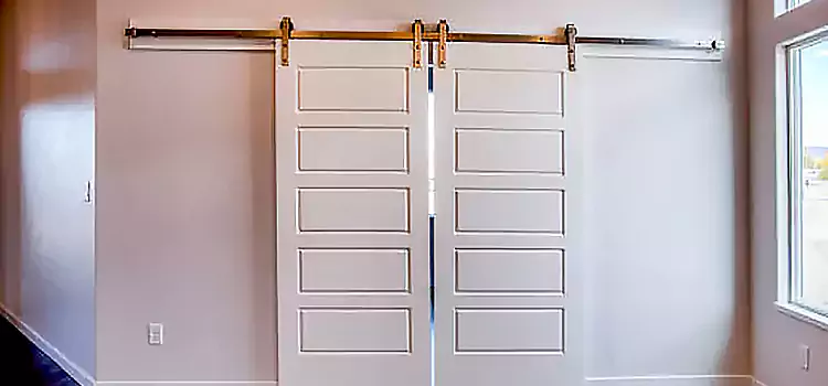 Glass Barn Door with Installation Hardware Kit Jackson