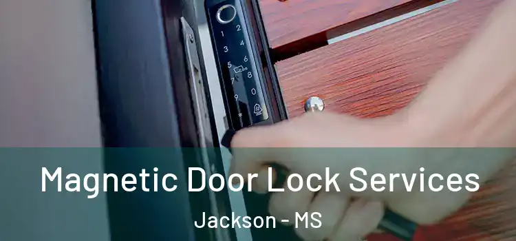  Magnetic Door Lock Services Jackson - MS