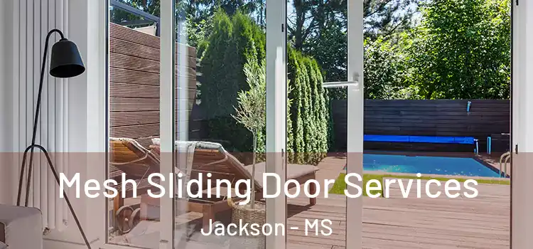 Mesh Sliding Door Services Jackson - MS