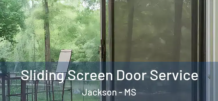  Sliding Screen Door Service Jackson - MS